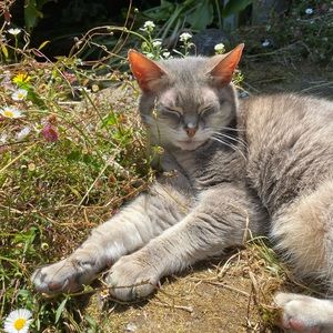 Meet your Posher, Elisa